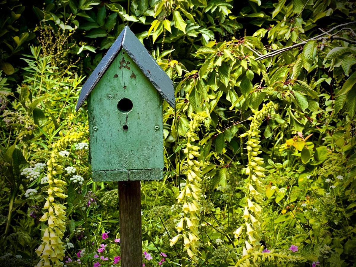 Home Farm Bed & Breakfast Milton Keynes Dış mekan fotoğraf