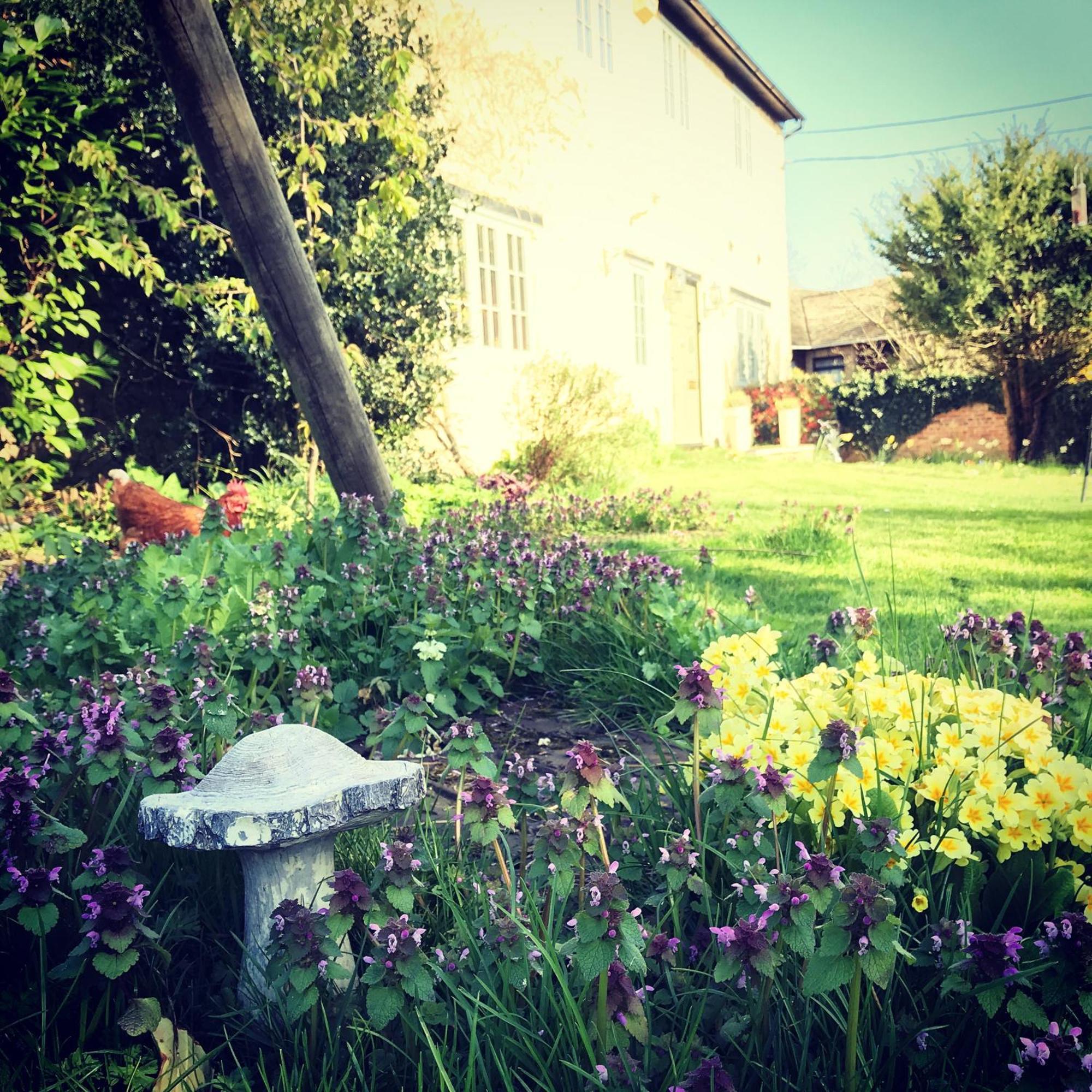 Home Farm Bed & Breakfast Milton Keynes Dış mekan fotoğraf