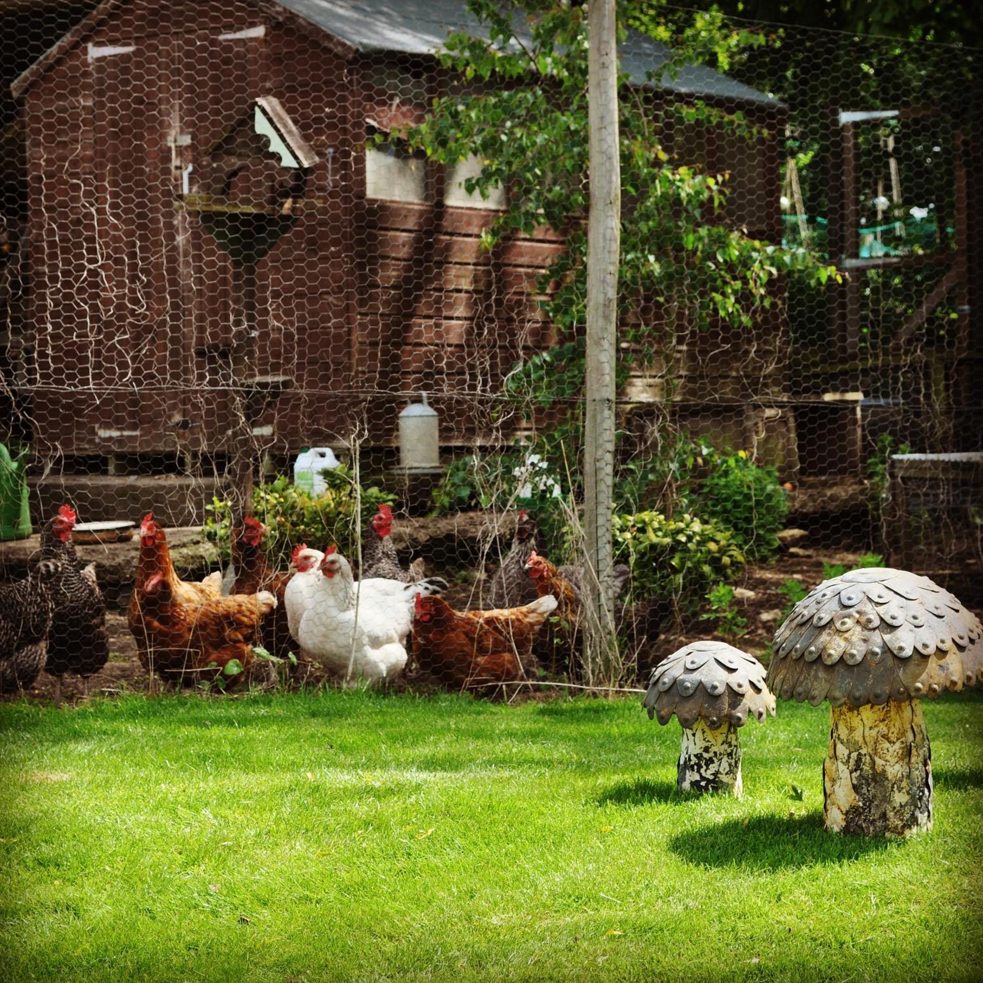 Home Farm Bed & Breakfast Milton Keynes Dış mekan fotoğraf
